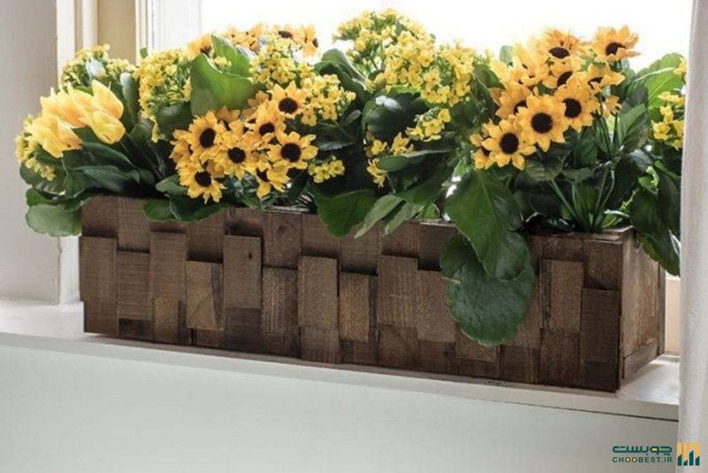 قیمت فلاور باکس دیجی کالا