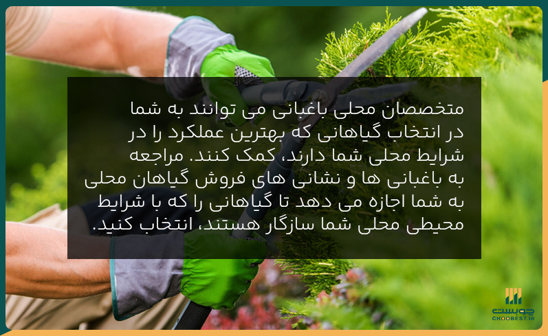 طراحی فضای سبز باغ آرایی و محوطه سازی