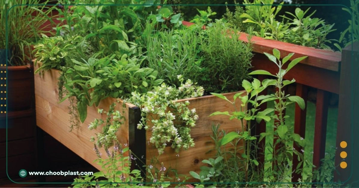 کاشت گیاهان دارویی یا خوراکی در فلاورباکس چوب پلاستیک