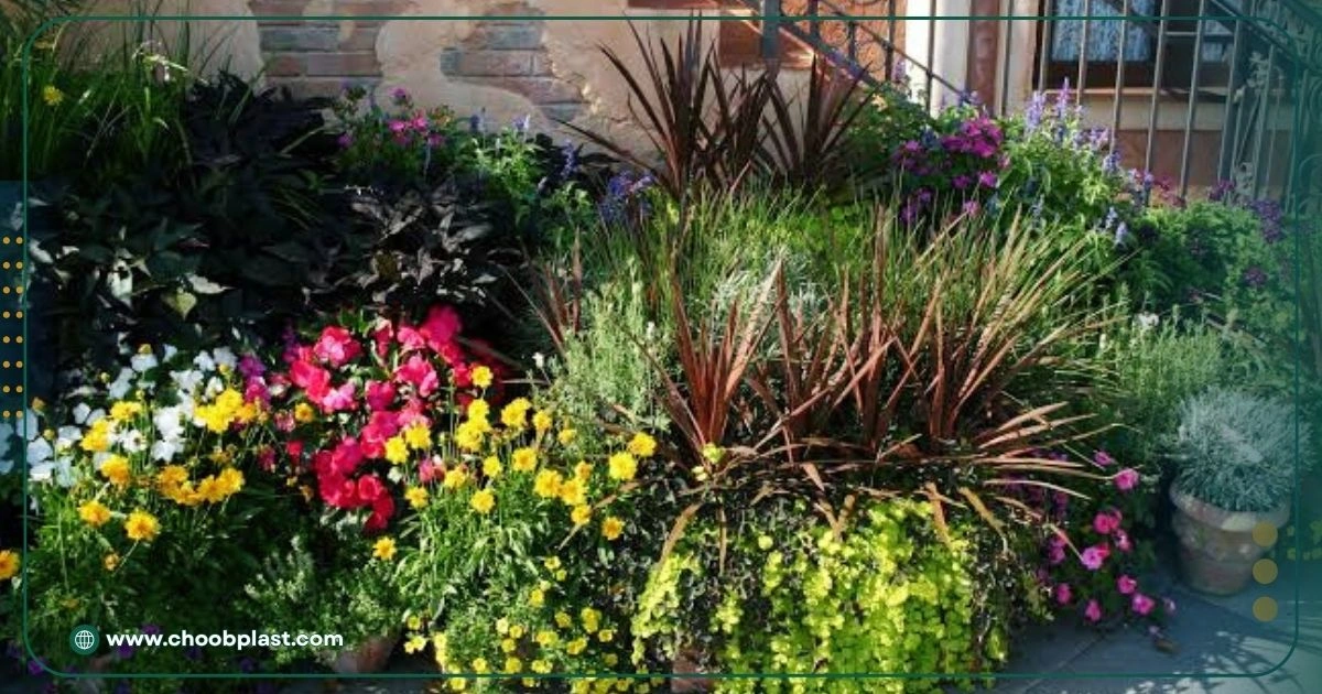 گیاهان مناسب برای زیبا سازی باغ با کمترین هزینه