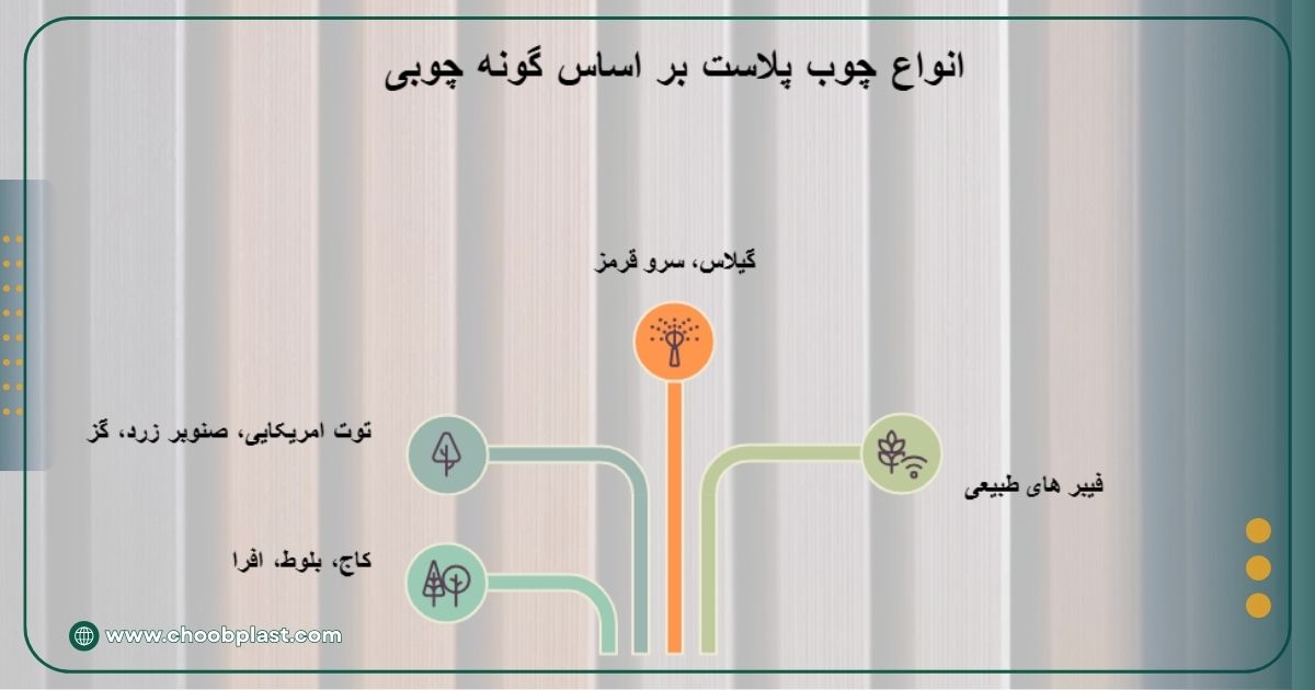 انواع چوب پلاست بر اساس گونه چوبی