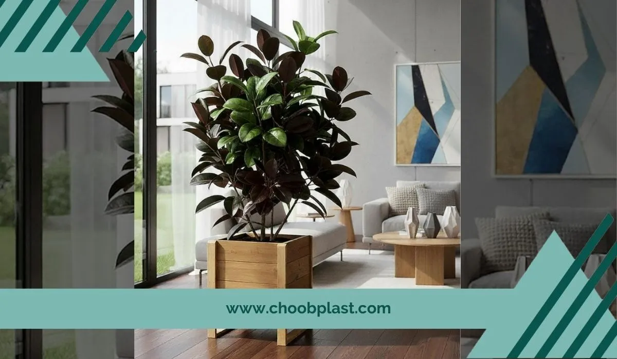 فلاورباکس چوبی مکعبی